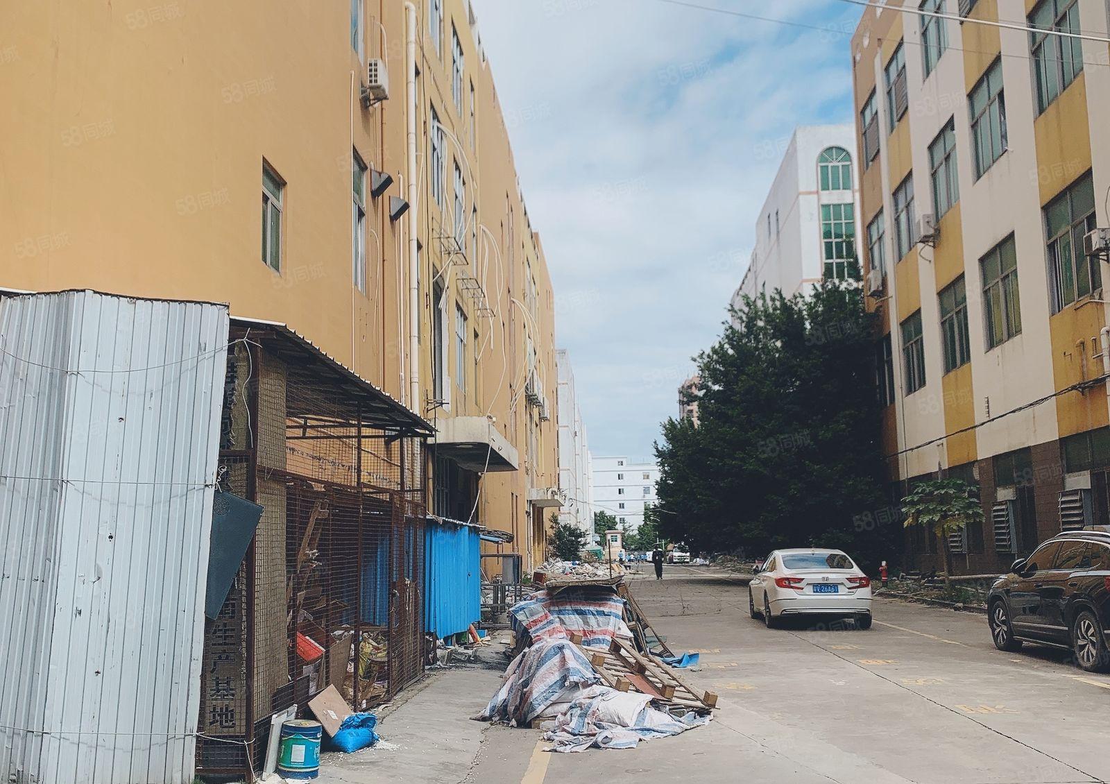 仲恺陈江独门独院一楼1500平高6米原房东仓库厂房出租200