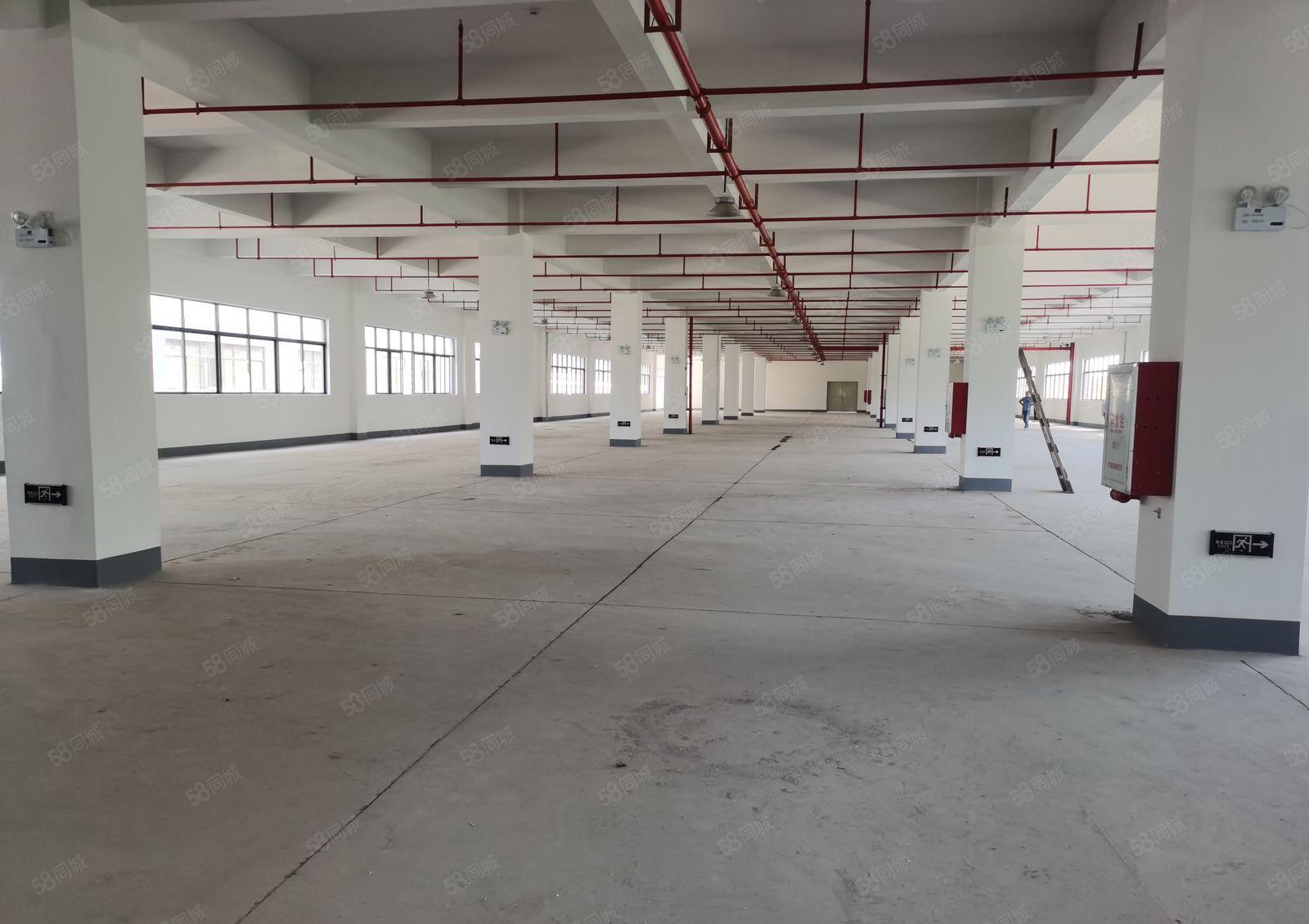 陈江东升工业区全新可做电池厂房46000平米招租，可分租