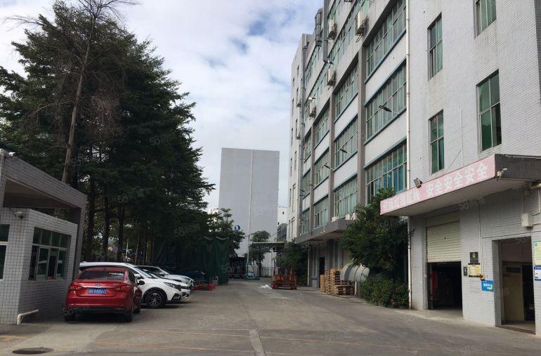 仲恺陈江原房东2000平仓库厂房出租一楼7米200起分租合租