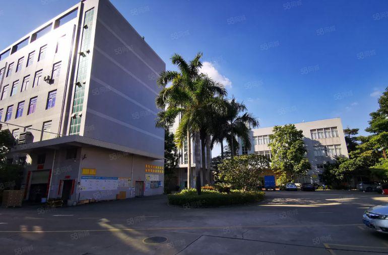 500平起分租 陈江原房东工业园一楼2000平厂房出租带牛角