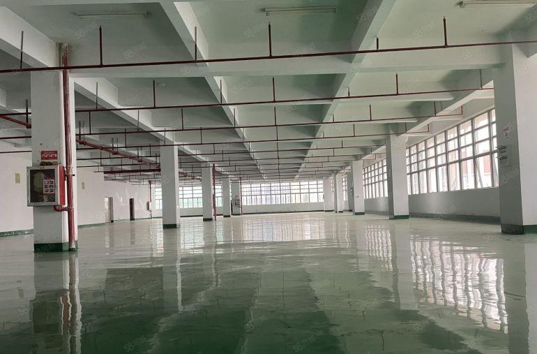 10块，仲恺陈江新出2000平带地坪漆厂房仓库出租，可办环评