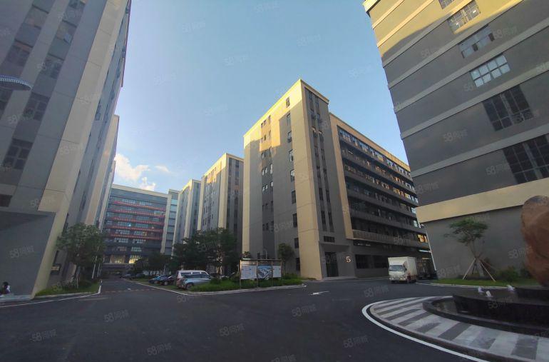 仲恺高新区陈江原房东直租低价可环评红本厂房牛角大小可分无公摊