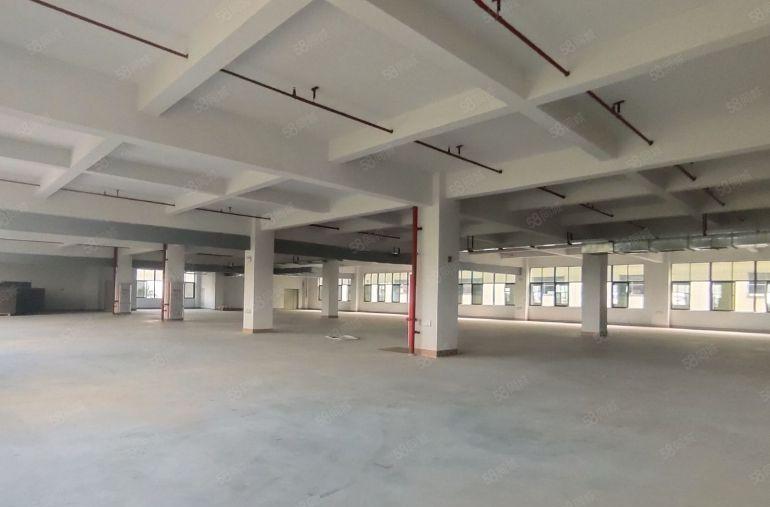 仲恺标准厂房一楼1500平方，可办环评可分租