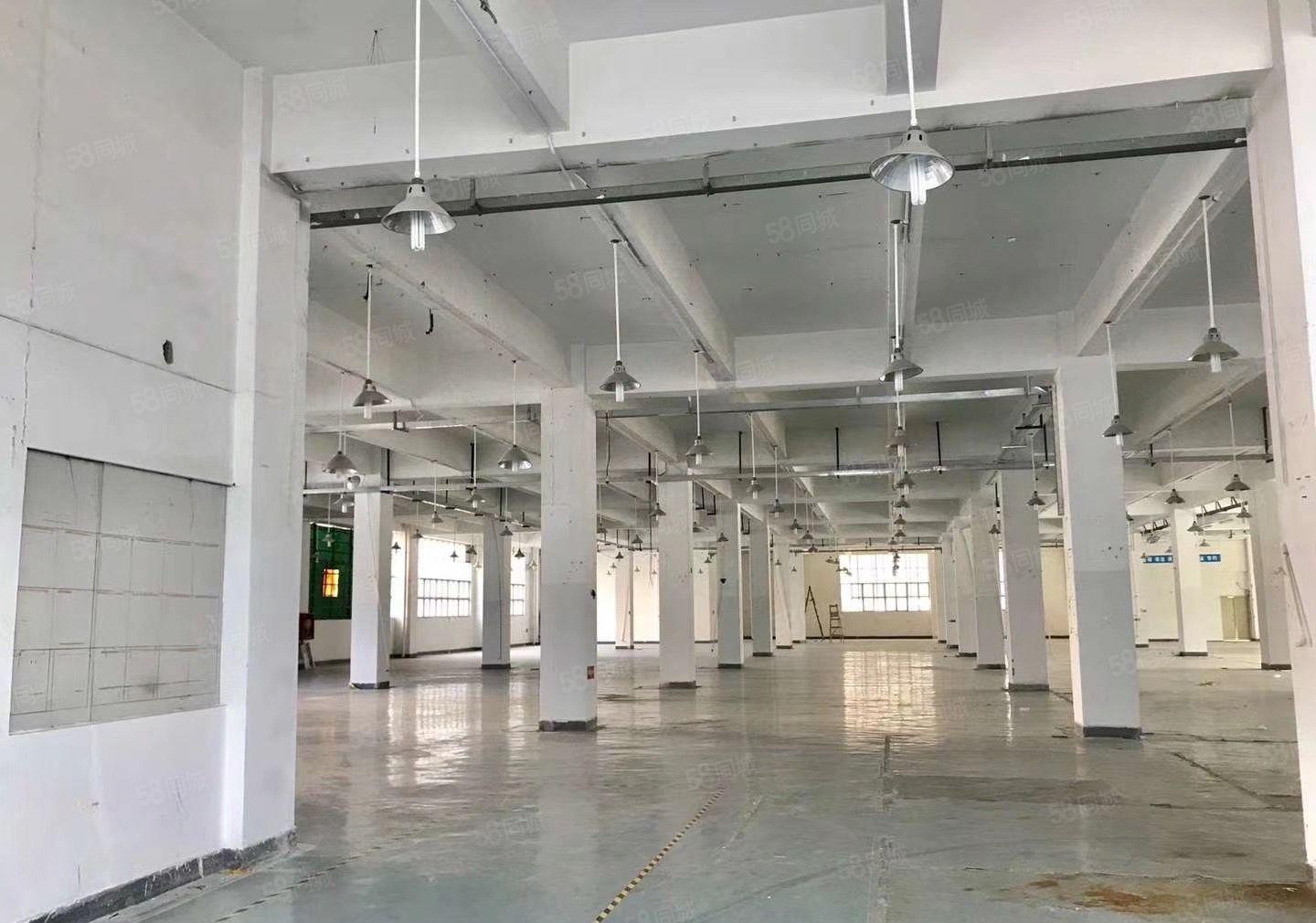 仲恺陈江原房东3000平一楼高6米500.厂房出租200起租