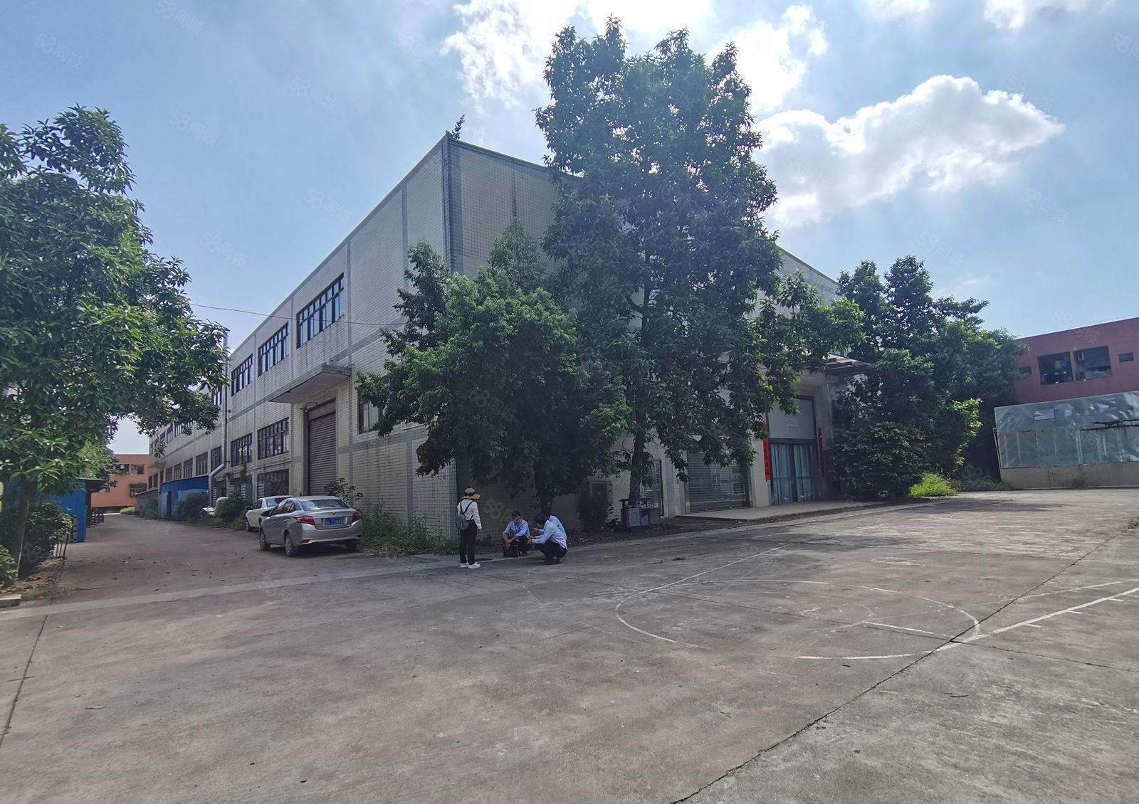 仲恺陈江12米钢构厂房3200平方出租