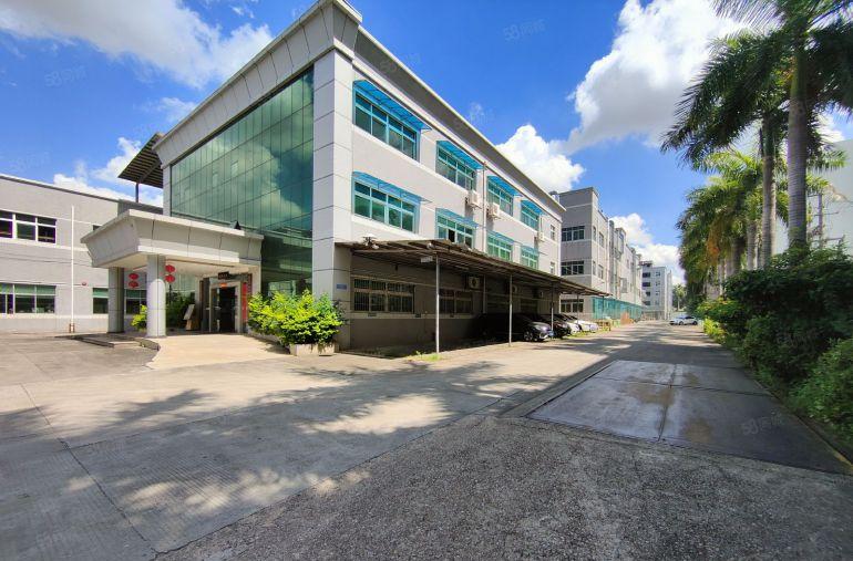 原房东无公摊9元陈江仲恺高新区红本厂房5千平可分一楼仓库出租