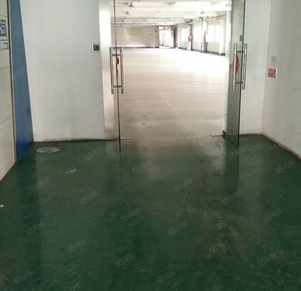 仲恺陈江，新出4500平方带装修办公室的厂房出租