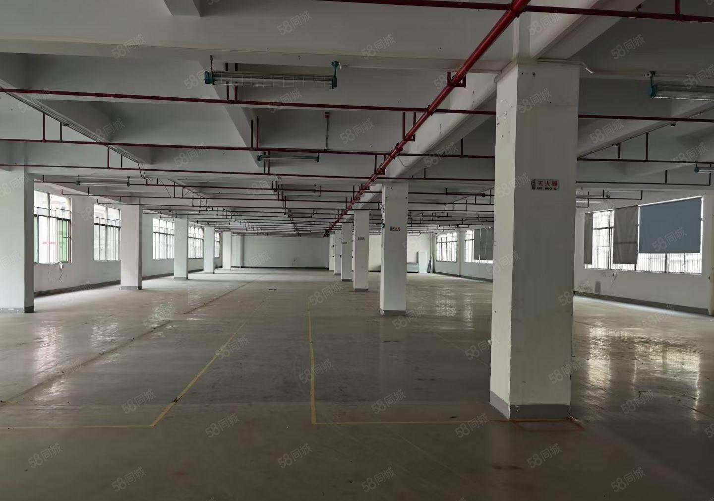 沥林信德盛工业园全新独院红本厂房12000平招租，500起租