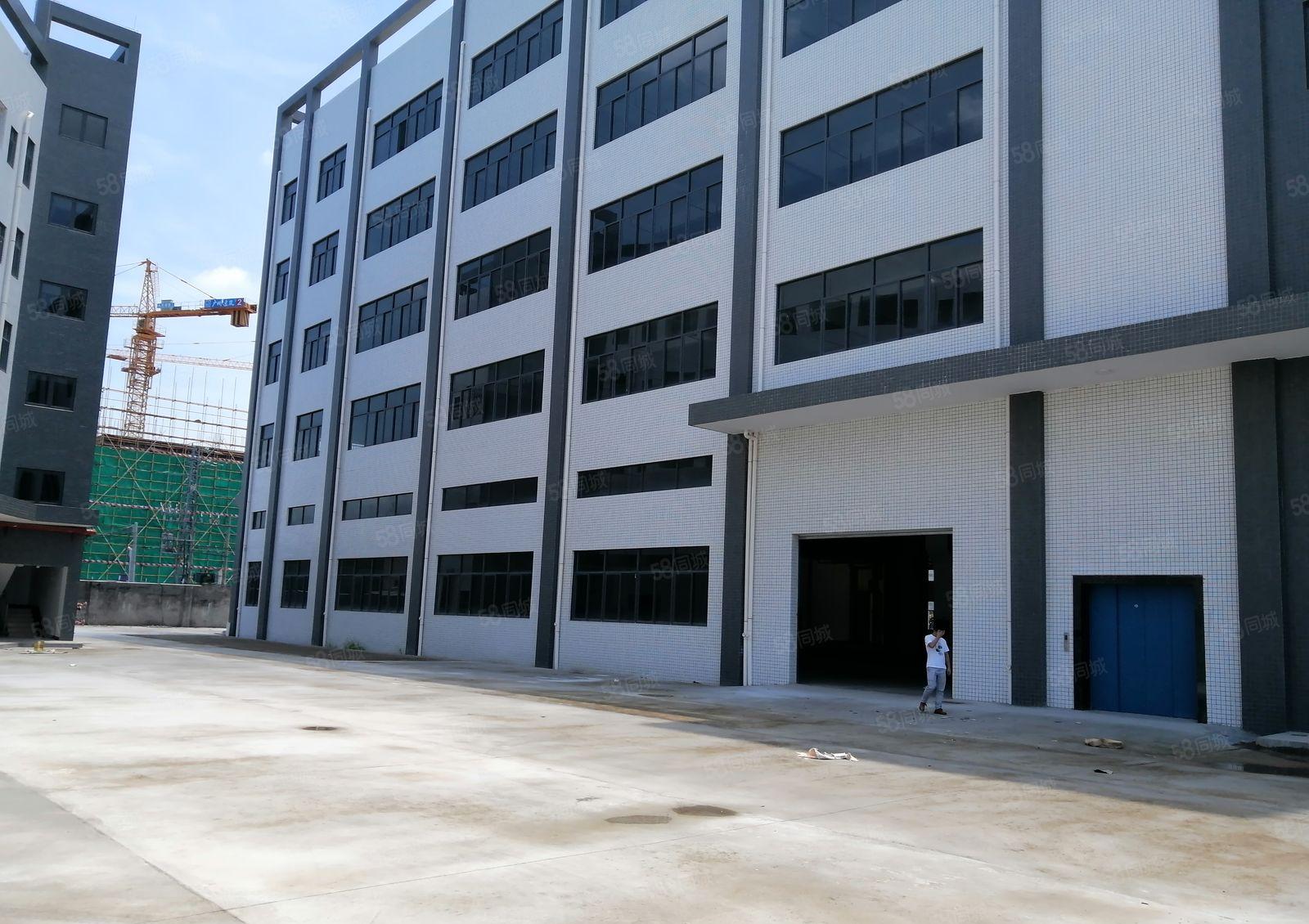 陈江万盛兴工业园78000平一手房东招租，可分租一楼层高6米