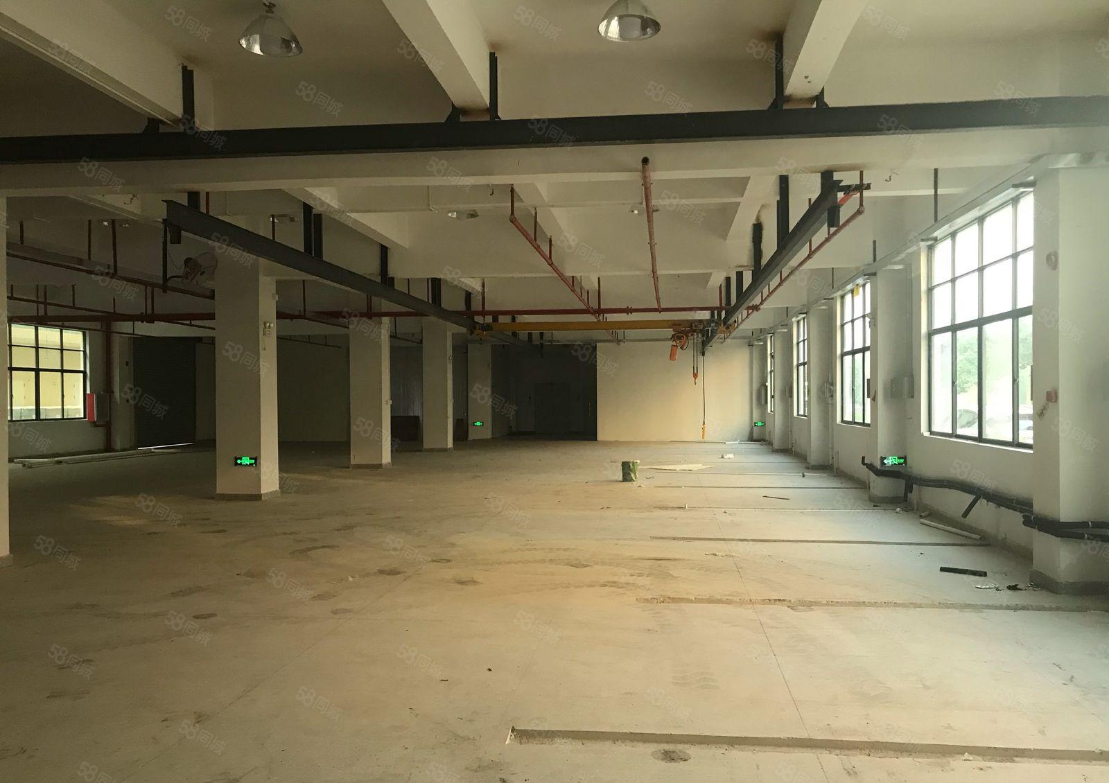 陈江大欣工业区一二楼500平1000平出租