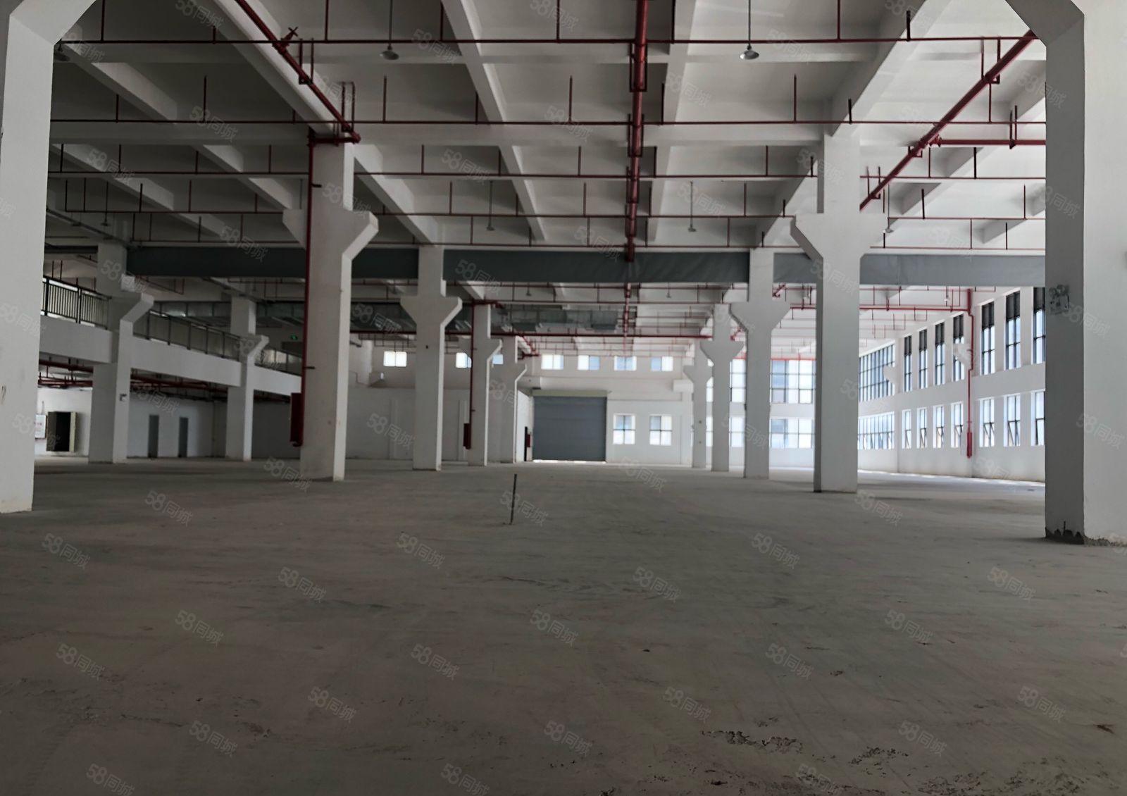 原房东仲恺平南工业区全新标准厂房3000平方一楼7米高带牛角