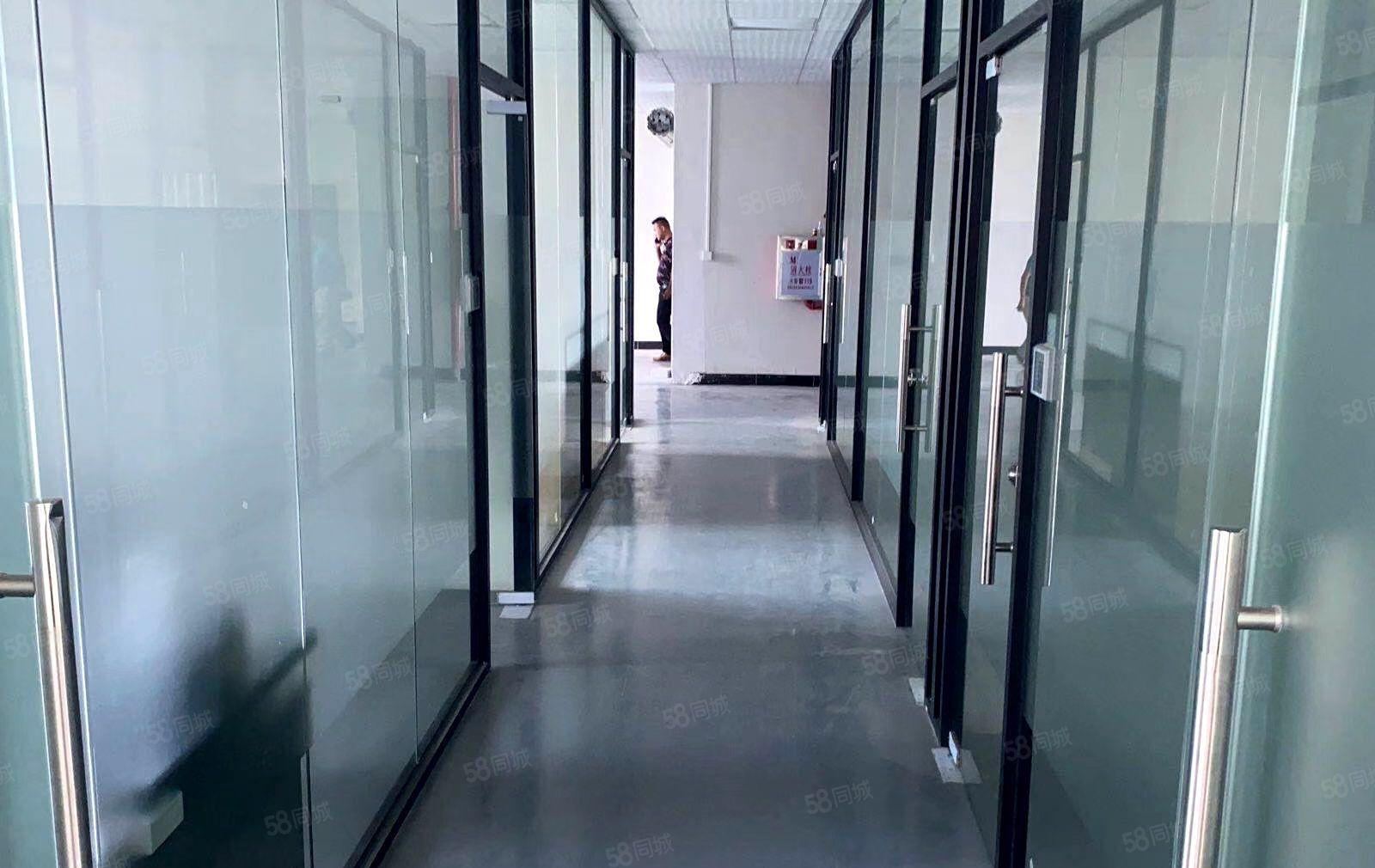 赠！免租期 陈江区新出标准厂房 可做电子生物 证件齐全带红本