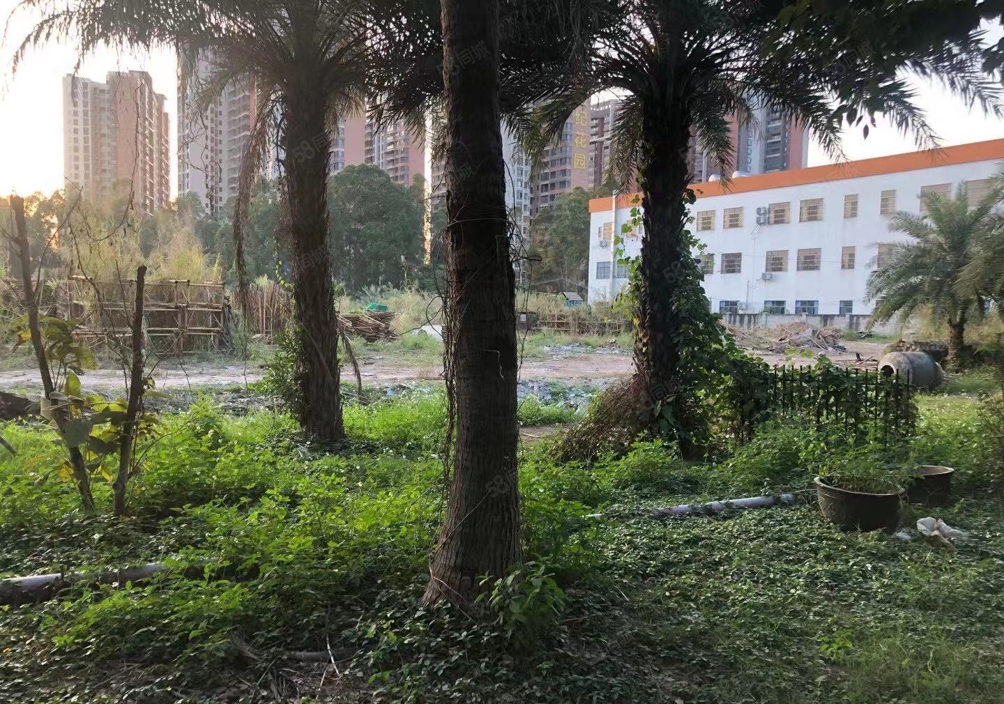 惠州陈江单层钢构厂房