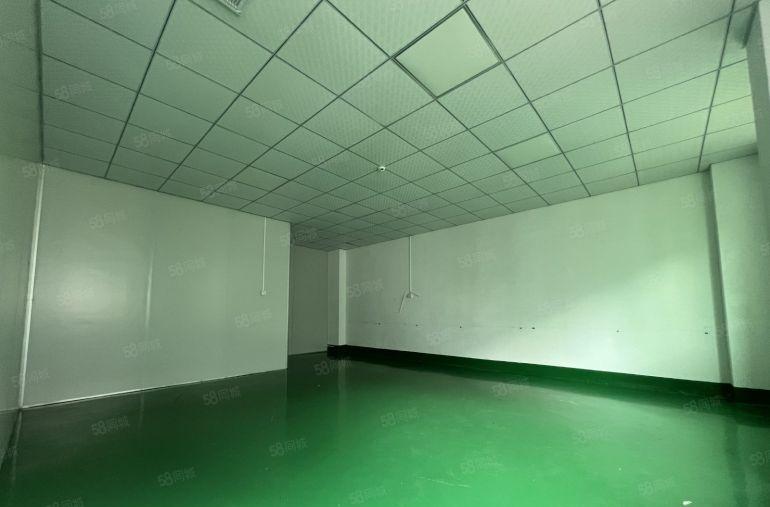仲恺沥林低价厂房出租1300平方现成的无尘车间带精装修办公室
