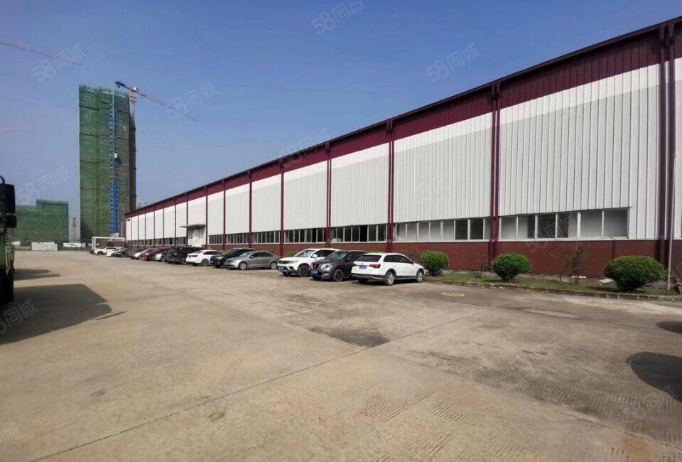 高10米仲恺TCL靠近四环路独院钢构15600方600方起分