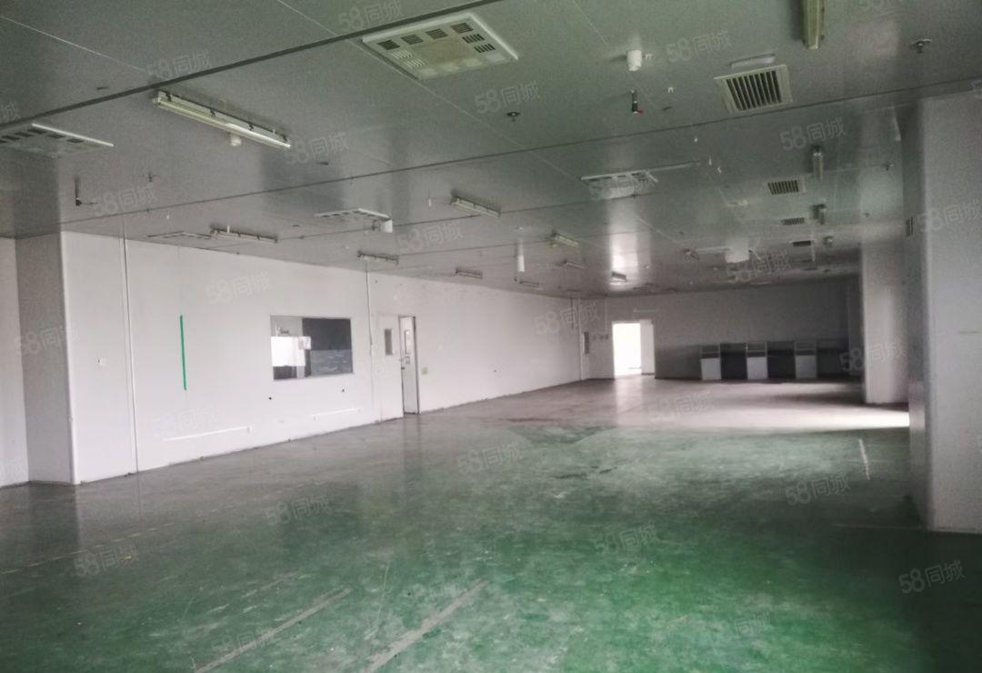 仲恺高新区带装修无尘车间2200平可分租
