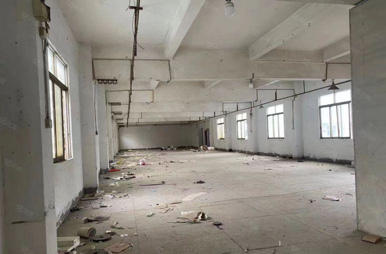 仲恺陈江镇主干道旁稀有独门独院两层标准厂房超大空地便宜出租