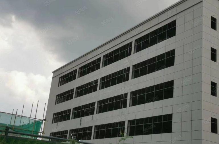 仲恺高新区沥林 全新独院厂房  原房东 可分租