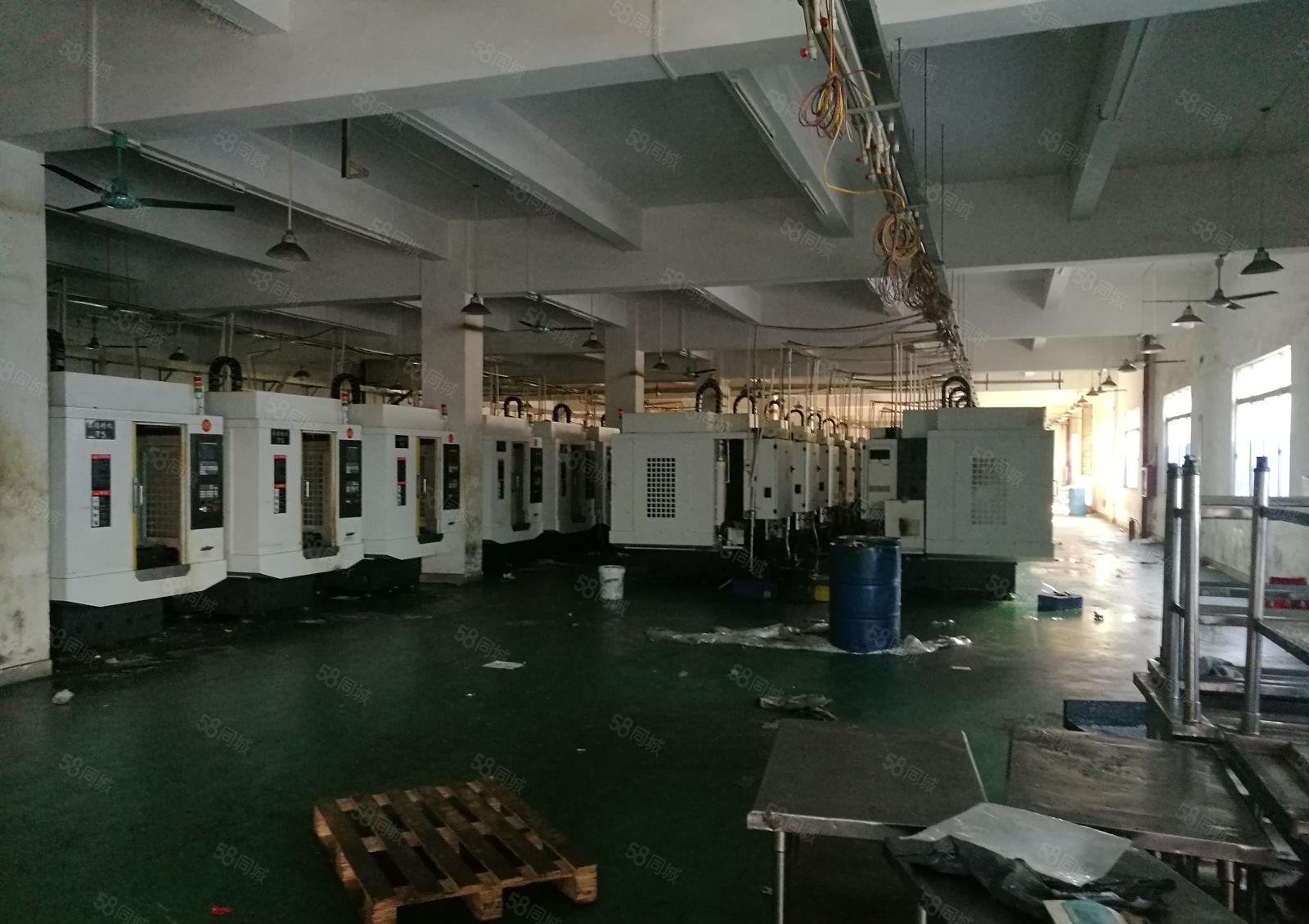 平南工业园区标准一楼2200平方可分租800平方高度6米