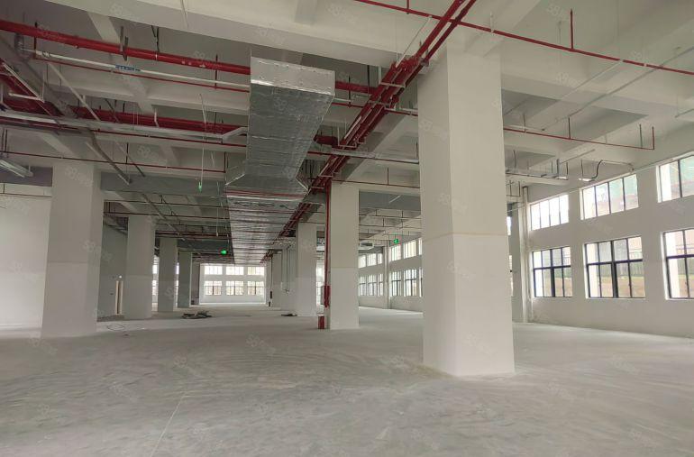 仲恺厂房潼湖原房东全新标准厂房出租7800平独栋厂房可分租