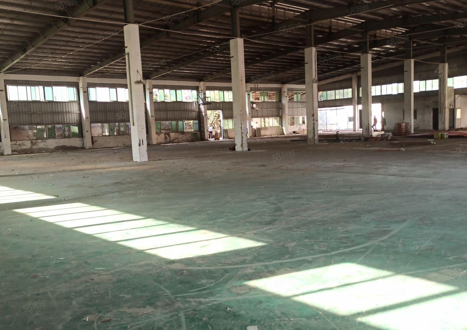 仲恺惠环单一层2600平方大小可分租 中间无柱子可装航吊