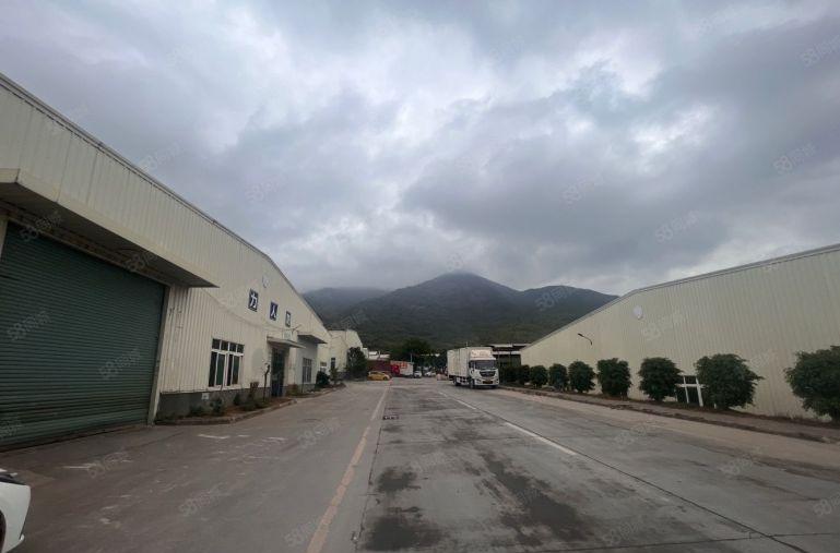 临莞陈江原房东独门独院钢构5000平300平起分高度11米