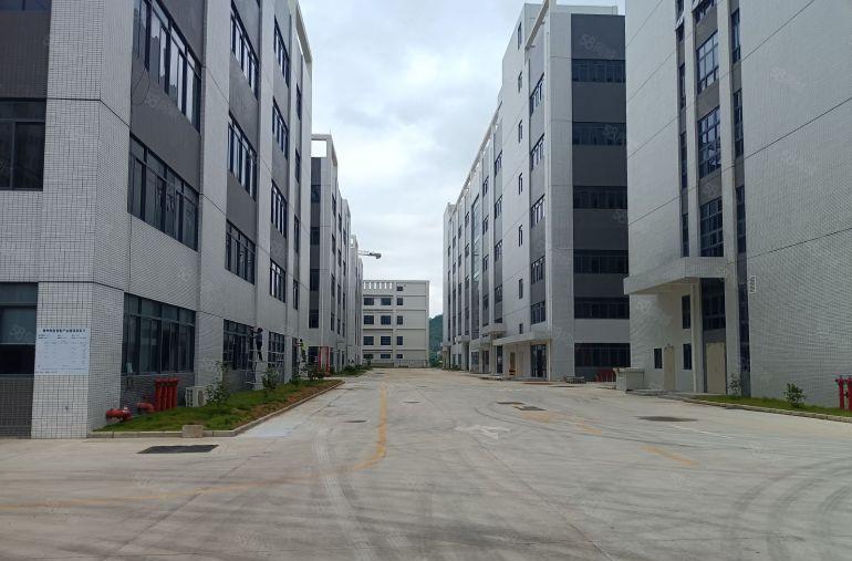 仲恺原房东全新红本重工业独门独院60000平米厂房出租可分租