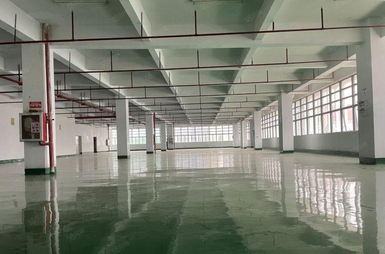 10块，仲恺陈江新出2000平带地坪漆厂房仓库出租，可办环评