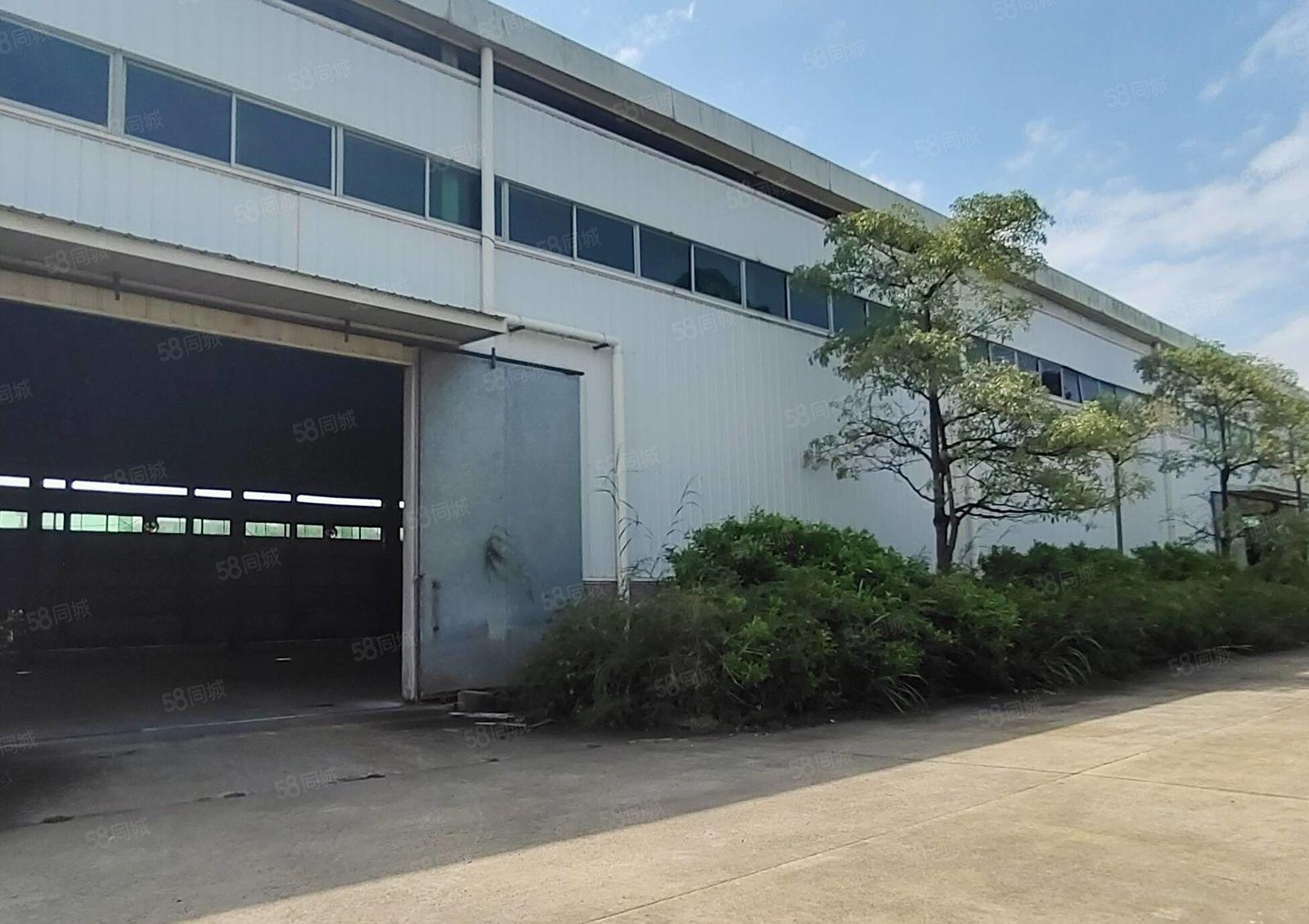 沥林镇一手房东出租8米高钢构厂房1600平，可分租