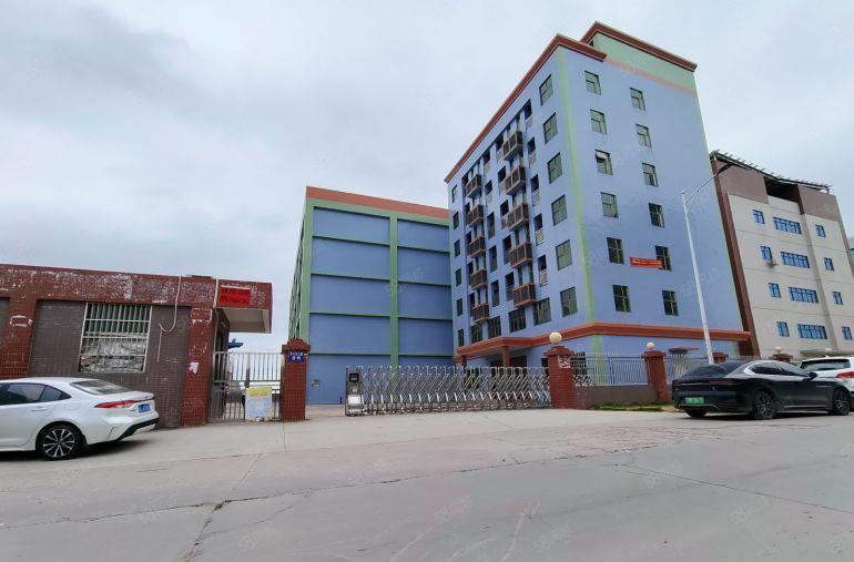 仲恺陈江新空出原房东独门独院11000平低价出租可整租可分租