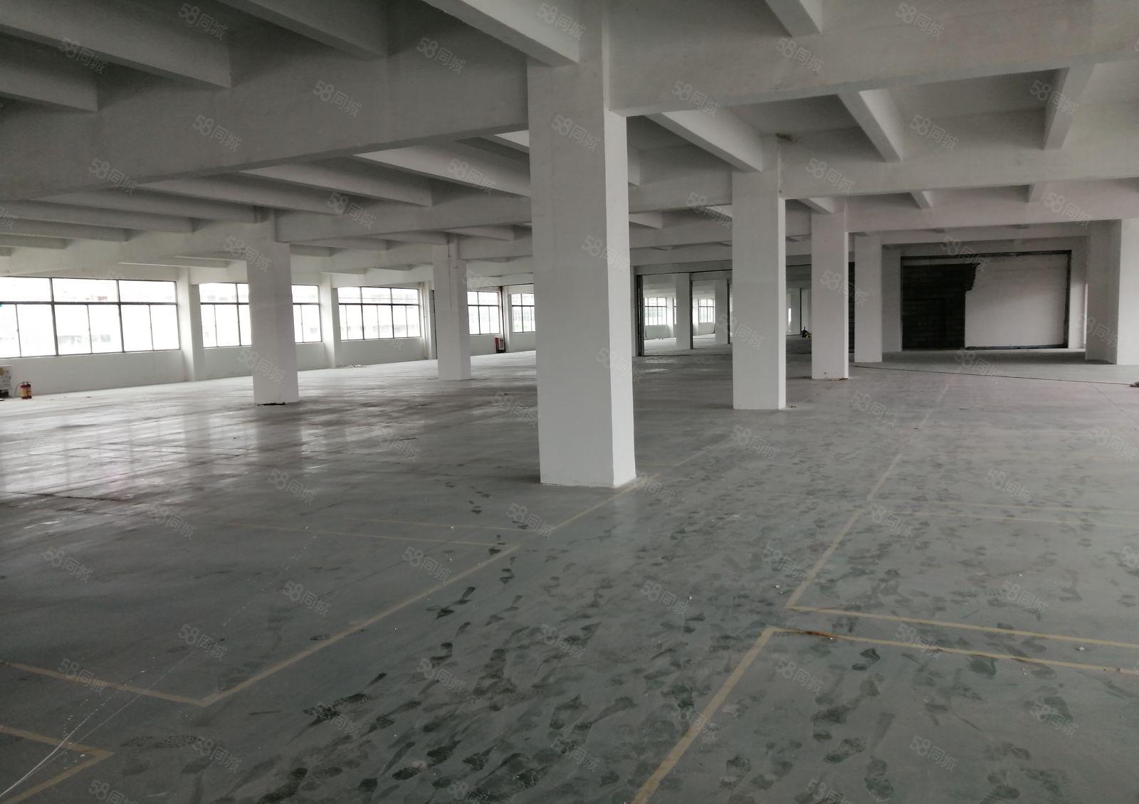 升华工业园一楼3000平带牛角层高7米有环评带装修招租