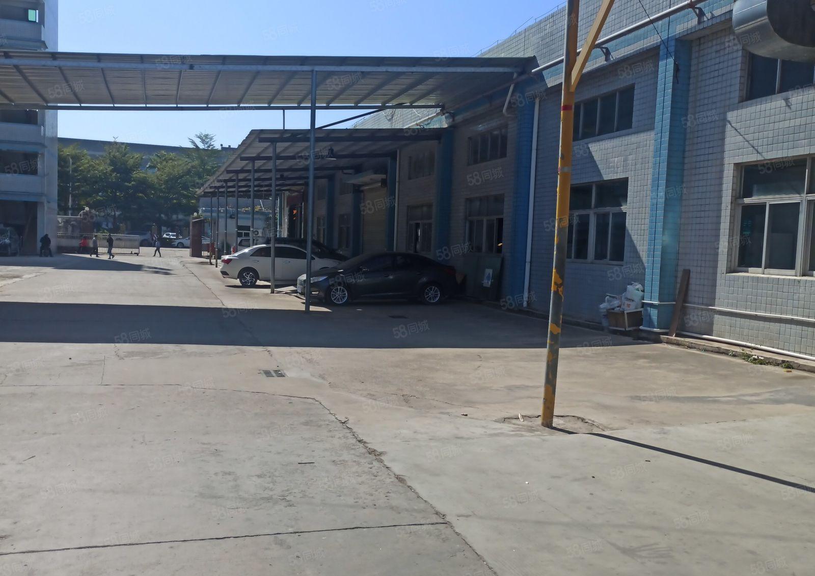 陈江五一工业区单一层厂房1050平方，滴水高度6米可分租。