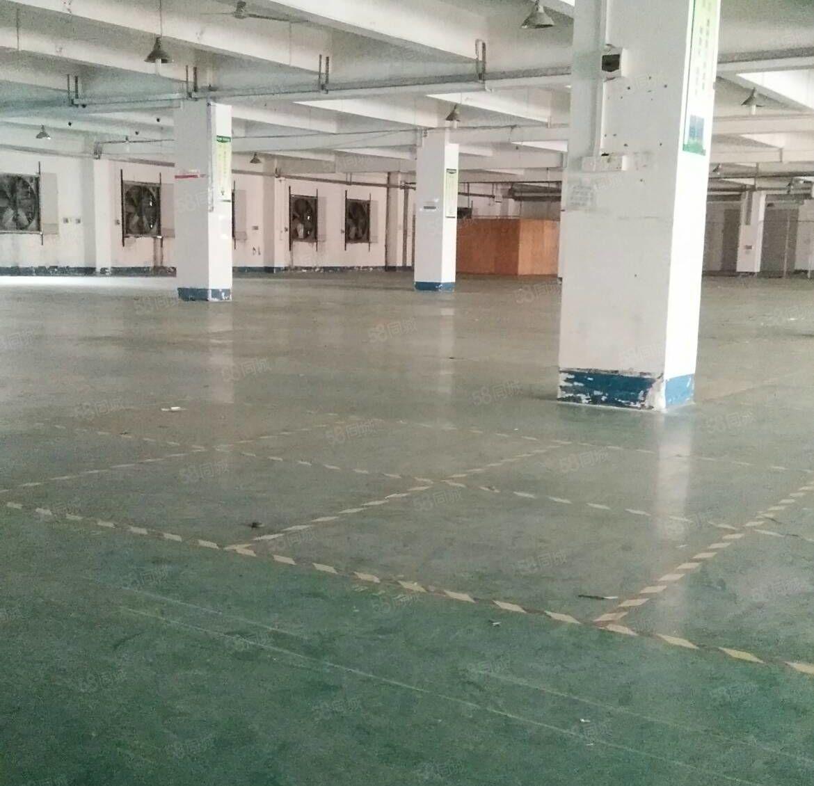 仲恺陈江，新出4500平方带装修办公室的厂房出租