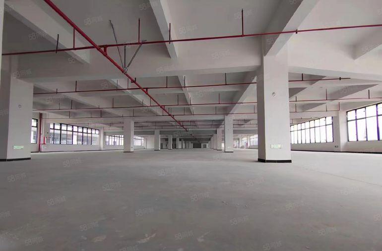 低价仲恺陈江全新80000平方红本厂房出租大小分租行业不限