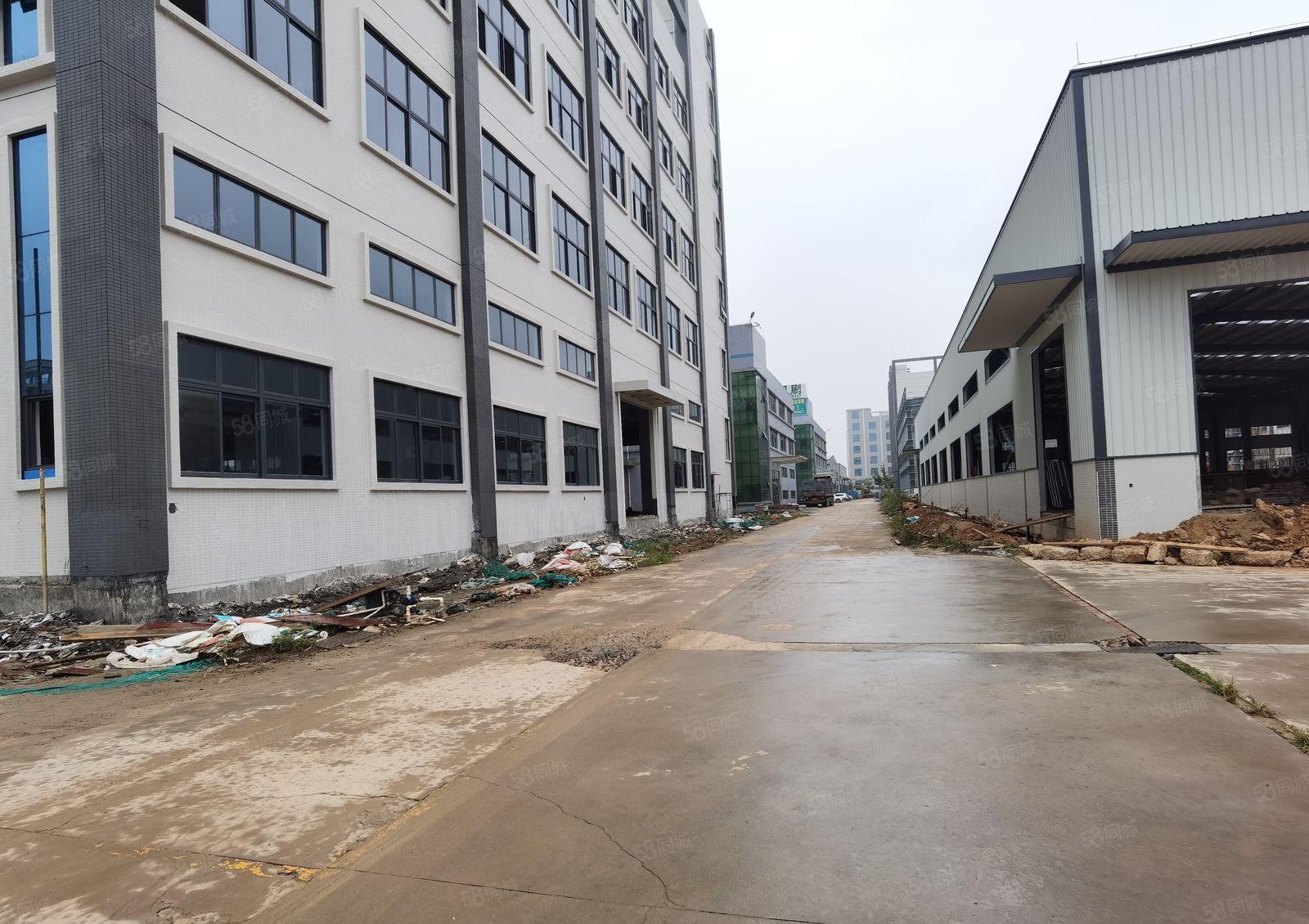 惠州市仲恺沥林镇18000全新红本厂房原房东出租500起分