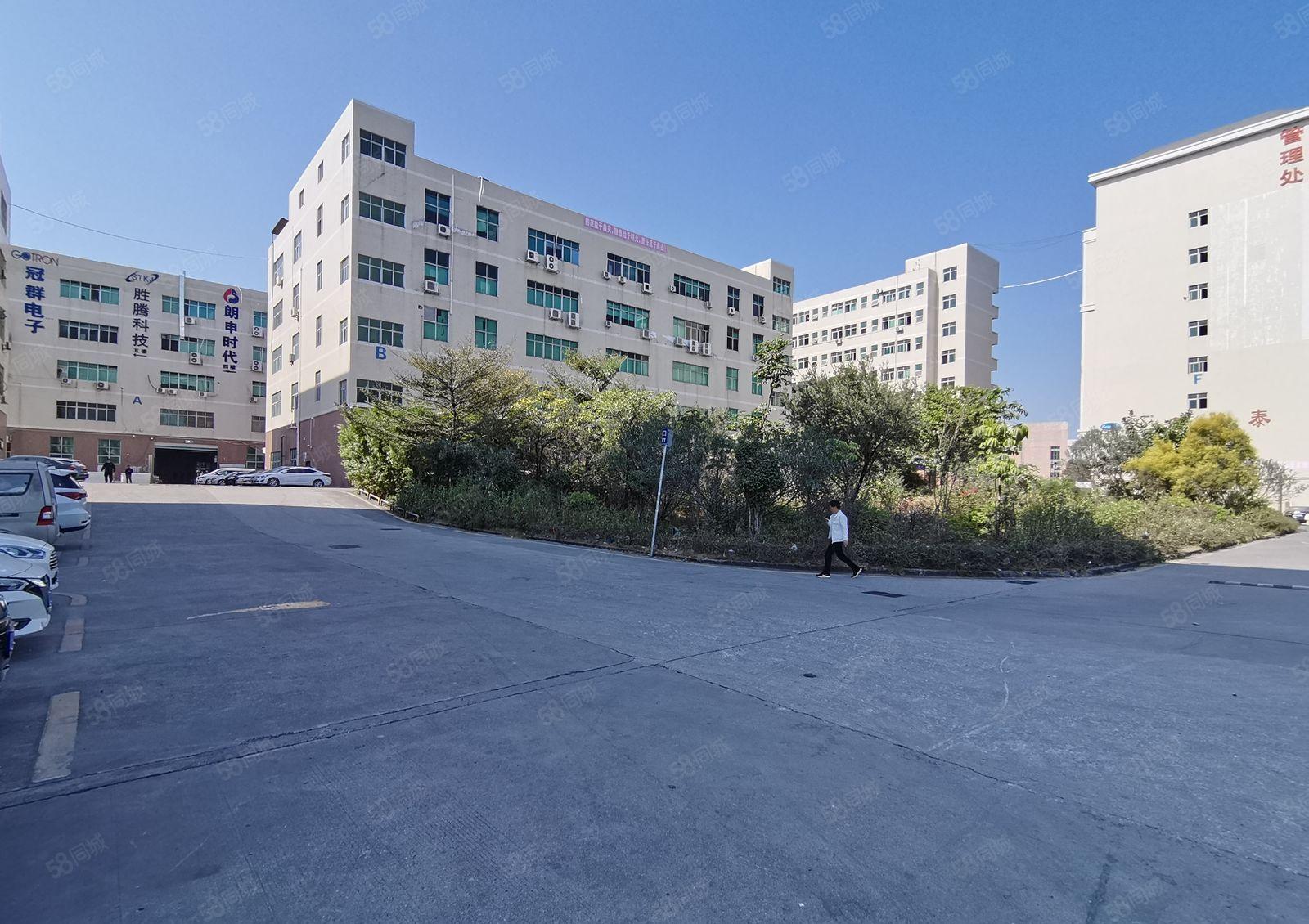 陈江五一工业区1200平到精装修厂房出租低价仓库可分租带环评