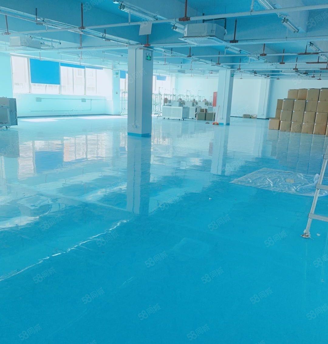 仲恺陈江原房东精装修2000一楼层高6米1000仓库厂房出租