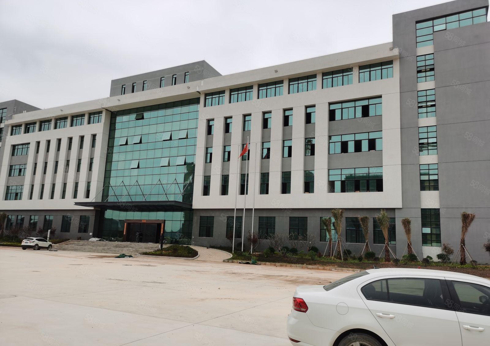 陈江东升工业区全新可做电池厂房46000平米招租，可分租