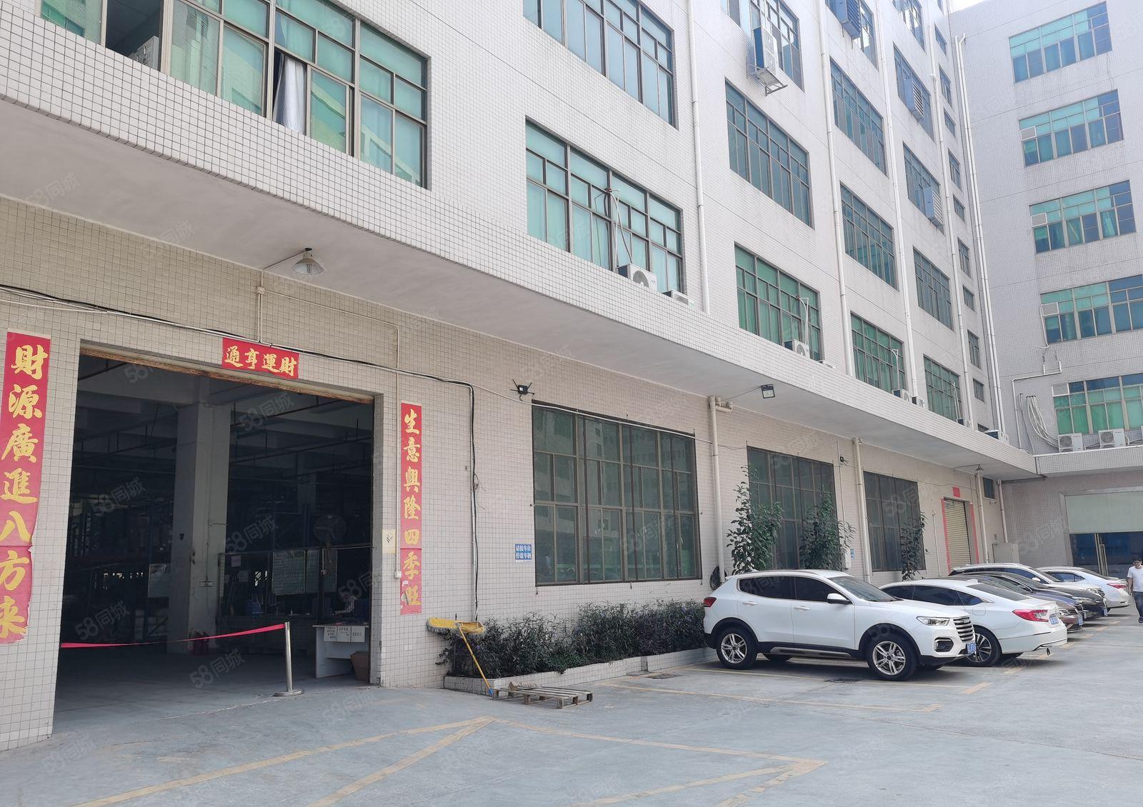 仲恺陈江小学2200标准一楼红本厂房仓库出租面积实量原房东