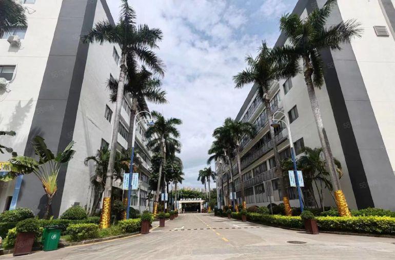 陈江高新区精装厂房楼上有红本工业厂房大小面积分租500平起