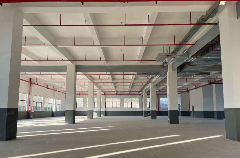 仲恺惠环特价900平厂房12块实际面积原房东全新红本