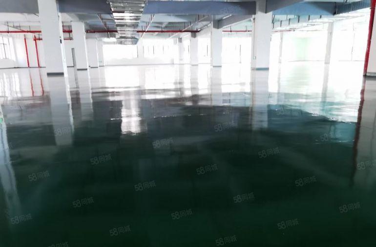 原房东仲恺区陈江镇全新地坪漆厂房出租