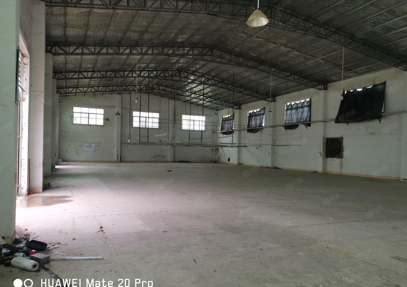 15元每平方陈江独院钢构厂房2000平方空地4000平方报价