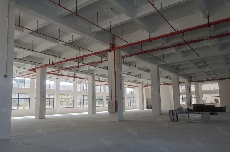 惠州仲恺陈江镇3万平工业厂房原房东成熟配套 12块钱每平出租