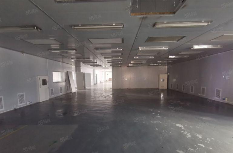 10块！带装修无尘车间1500平可分租水电齐全红本厂房出租