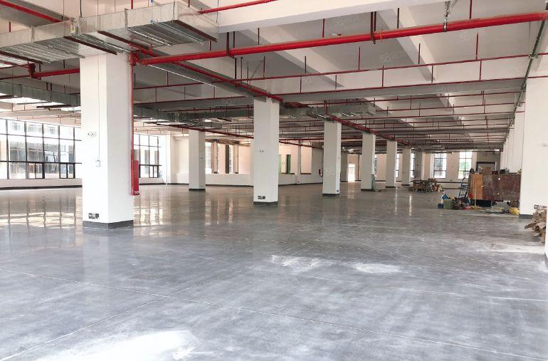 仲恺全新园区，可做独院，现低价出租，1000平可分租