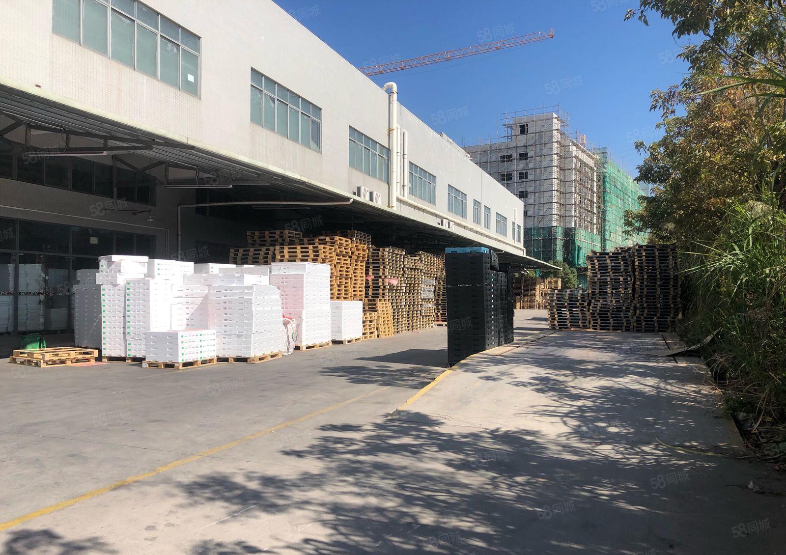 独门独院！仲恺德赛公司1至2楼16000平方实际面积出租