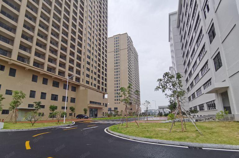 8元一平起沥林工业园红本标准厂房1000平厂房出租可办环评