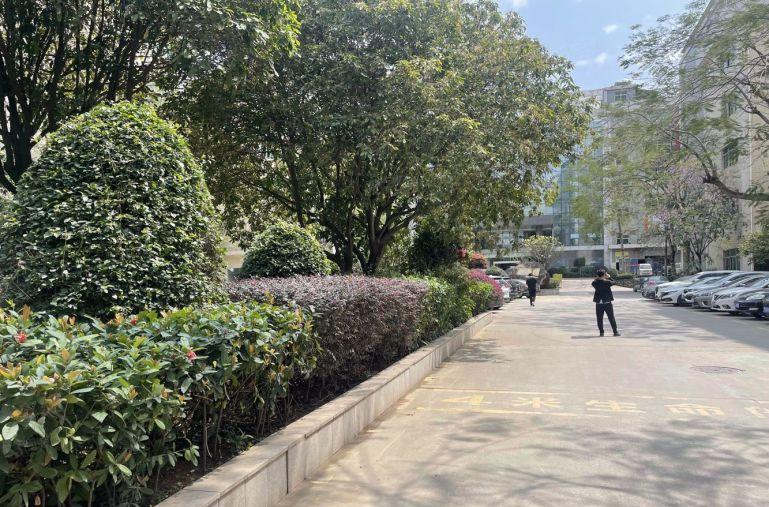 仲恺潼侨新出原房东一楼1000平无公摊厂房低价出租