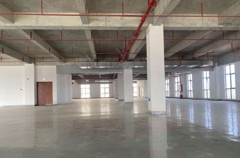 仲恺陈江全新标准楼上厂房1200平 四面彩光 阳台超大